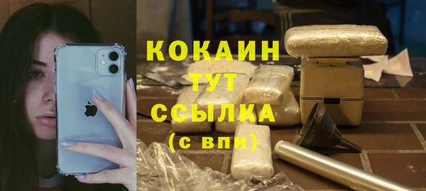 дживик Алзамай