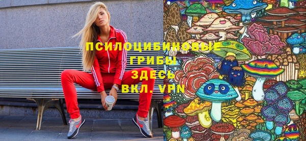 ECSTASY Абаза